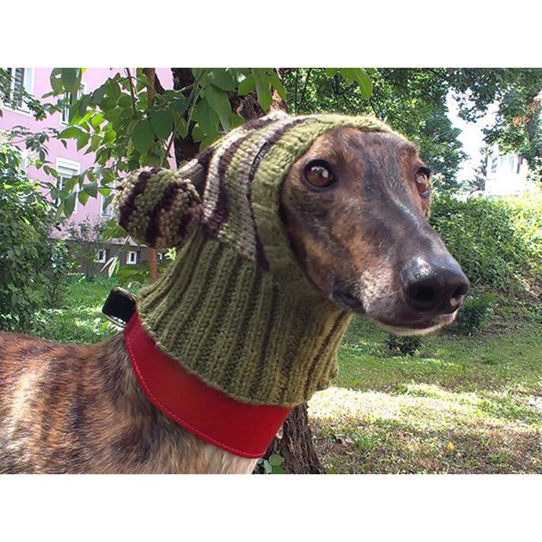 Greyhound hat hotsell