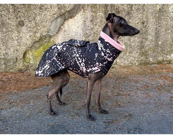Abrigo de invierno para galgo italiano: tejido softshell repelente al agua y al viento con forro de micropolar, conjunto de invierno para Iggy.