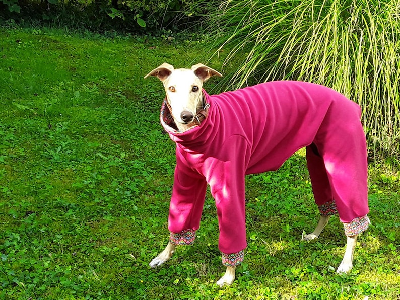 Greyhound Fleece Pajamas Galgo Pajamas Dog Pajamas Dog Clothing Dog Outfit Pink Pajamas