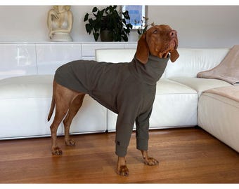 Vizsla Dog T-Shirt – Micro Fleece, Slim and Regular Fit