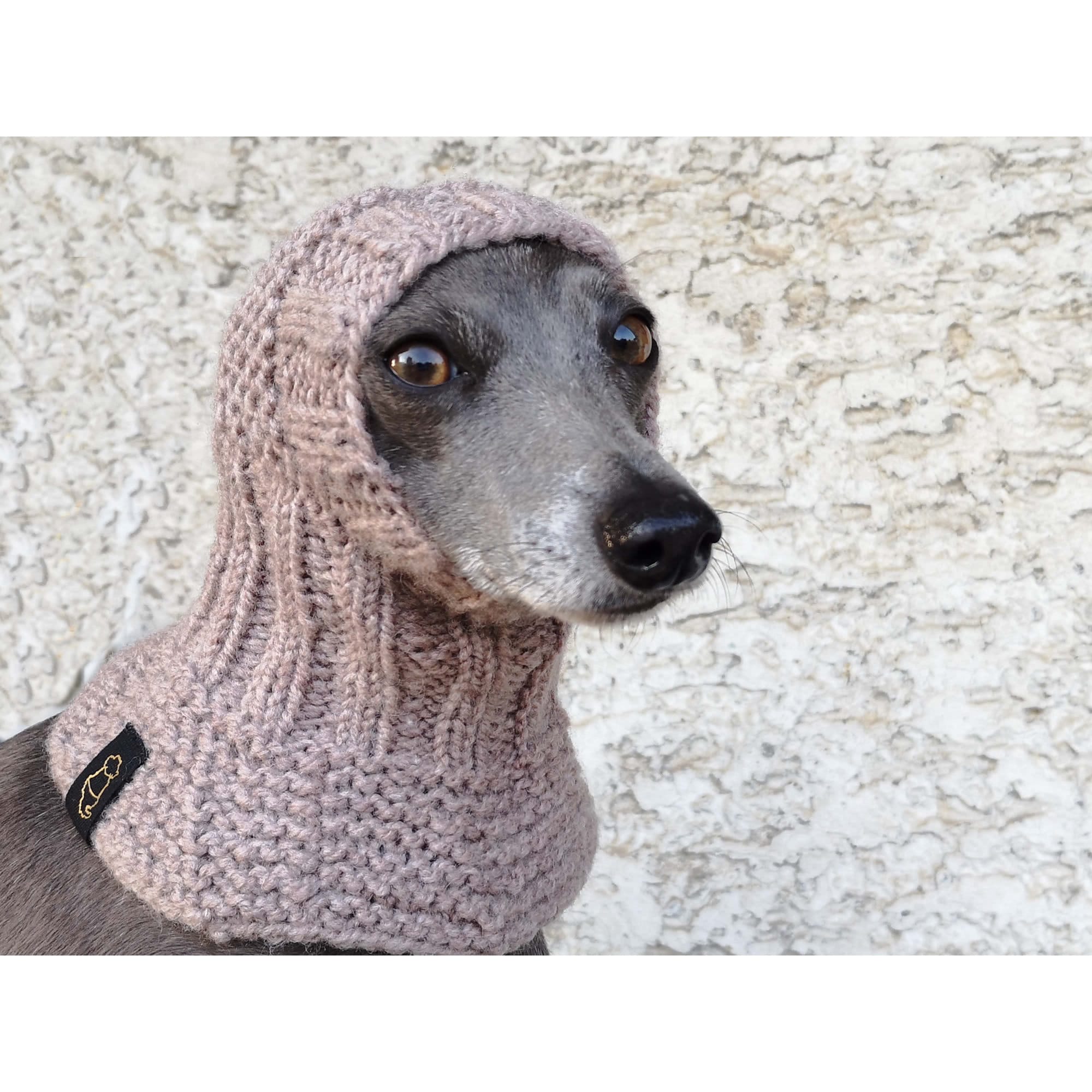 絶対的な信頼 Dog Snood, Dog Snood, Greyhound Italian Hat, Hat Greyhound Clothing