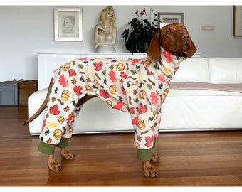 Vizsla Dog Pajamas with a Zipper – Polar Fleece, Slim and Regular Fit