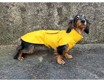 Dachshund Dog Raincoat – Waterproof, Slim and Regular Fit