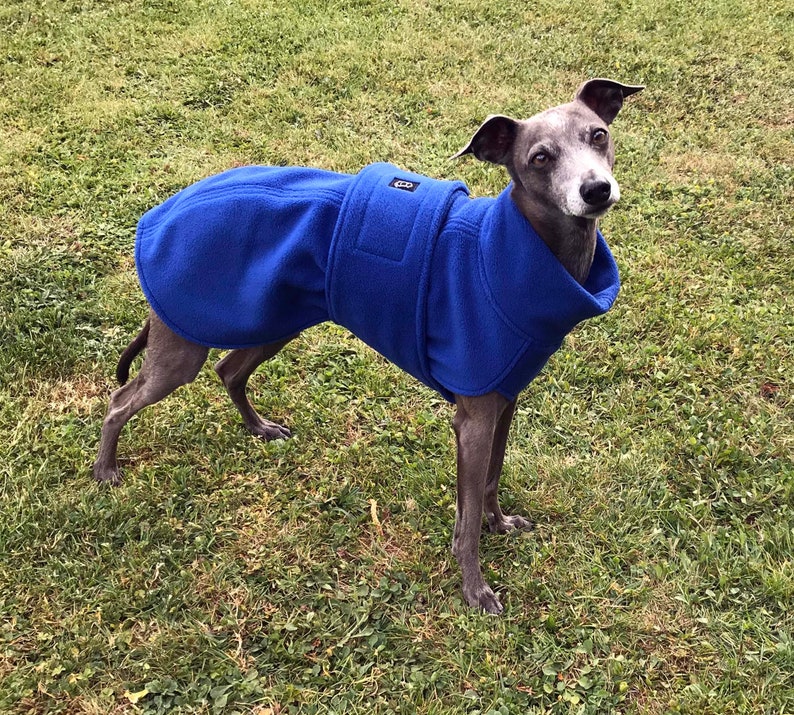 Italian Greyhound Coat / Italian Greyhound Fleece Coat / Etsy