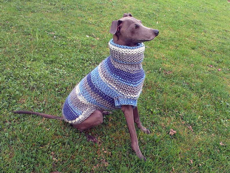 Italienische Windhund stricken Pullover / Hand stricken Hund Etsy