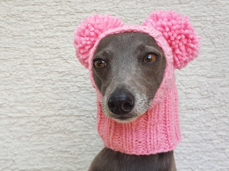 pom pom hats for dogs