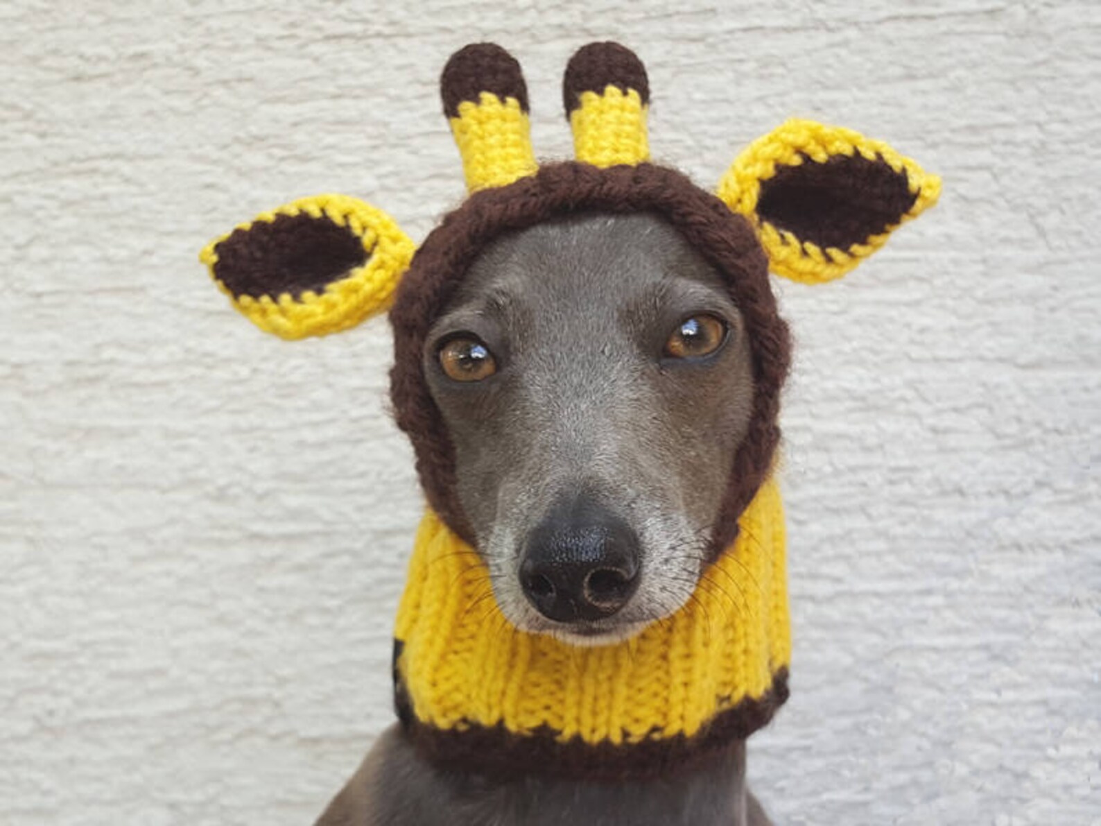 Giraffe Dog Hat / Giraffe Dog Snood / Knit Giraffe Dog Hat / Etsy