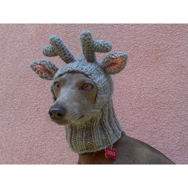 Reindeer Dog Hat with a Tassel, Christmas Dog Hat, Reindeer Dog Snood, Dog Hat, Knit Dog Hat image 1