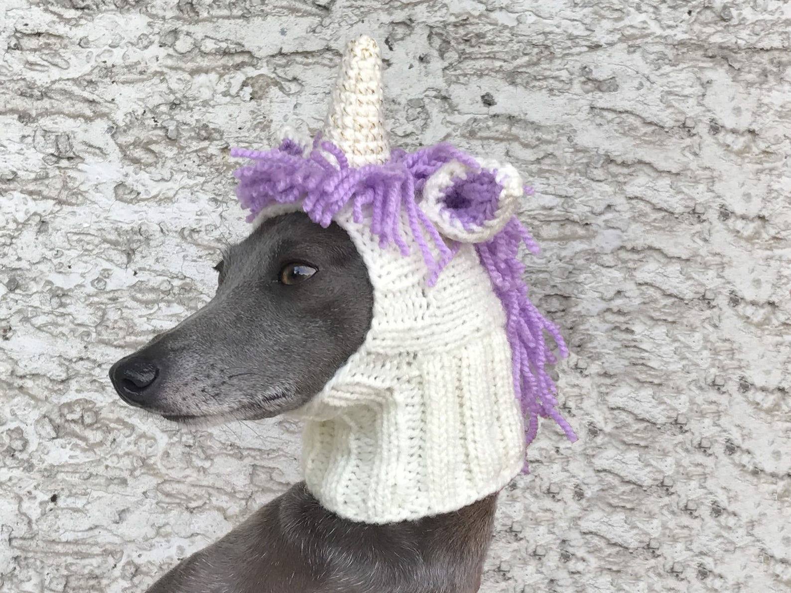 Unicorn Dog Hat / Unicorn Dog Snood / Knit Unicorn Dog Hat / Etsy