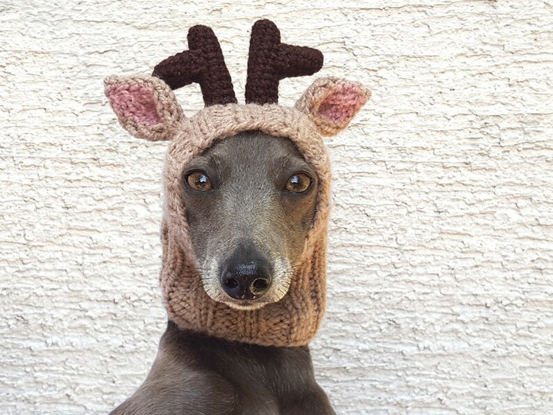 Reindeer Dog Hat Reindeer Dog Snood Christmas Dog Hat Dog Etsy Canada