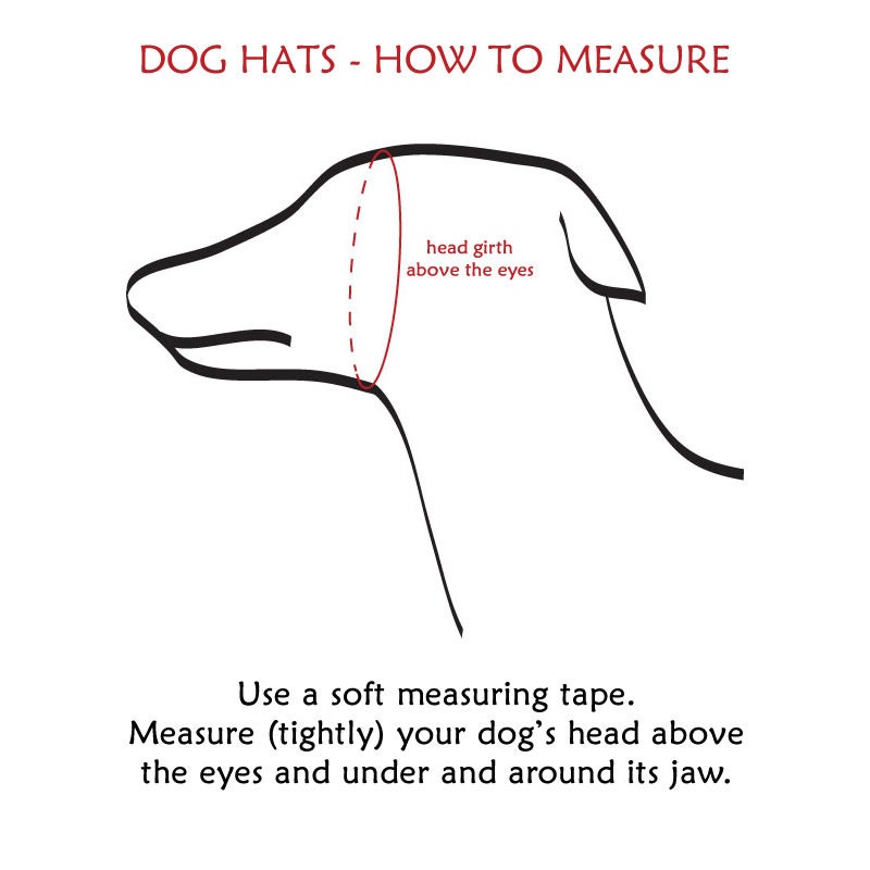 Giraffe Dog Hat / Giraffe Dog Snood / Knit Giraffe Dog Hat / Etsy