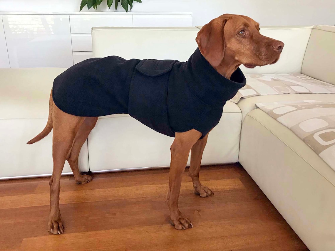 Vizsla Coat / Vizsla Fleece Coat / Dog Trench Coat / Fleece Etsy