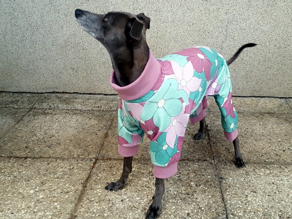 Italian Greyhound Pajamas Italian Greyhound Summer Pajamas Dog