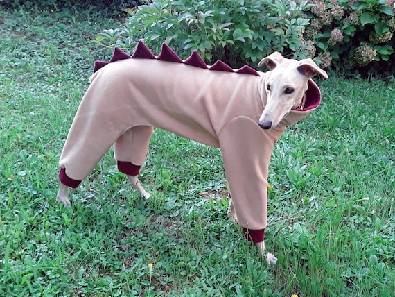 dino pjs