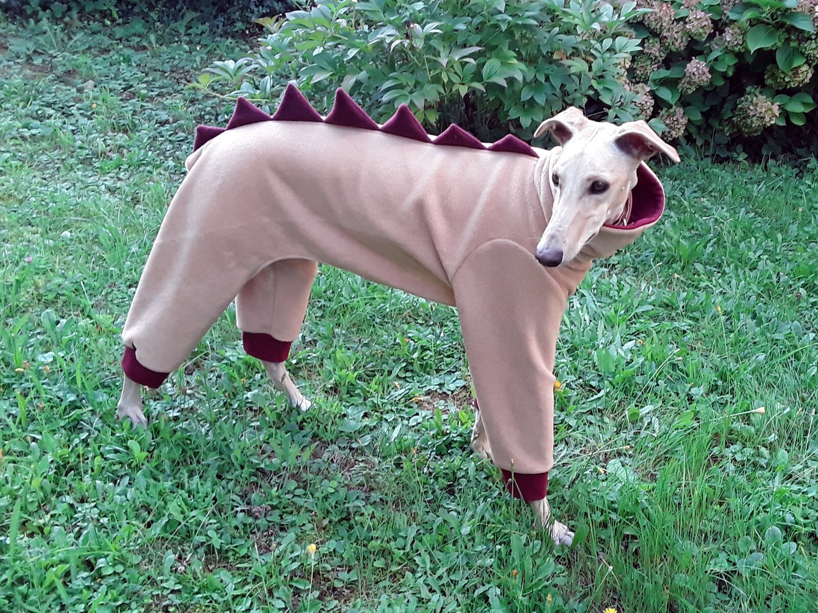 greyhound pyjamas brown stretch fleece, Greyhound onesie