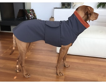 Vizsla Dog Winter Coat – Water- and Wind-Repellent Softshell with Micro Fleece Lining, Slim and Regular Fit
