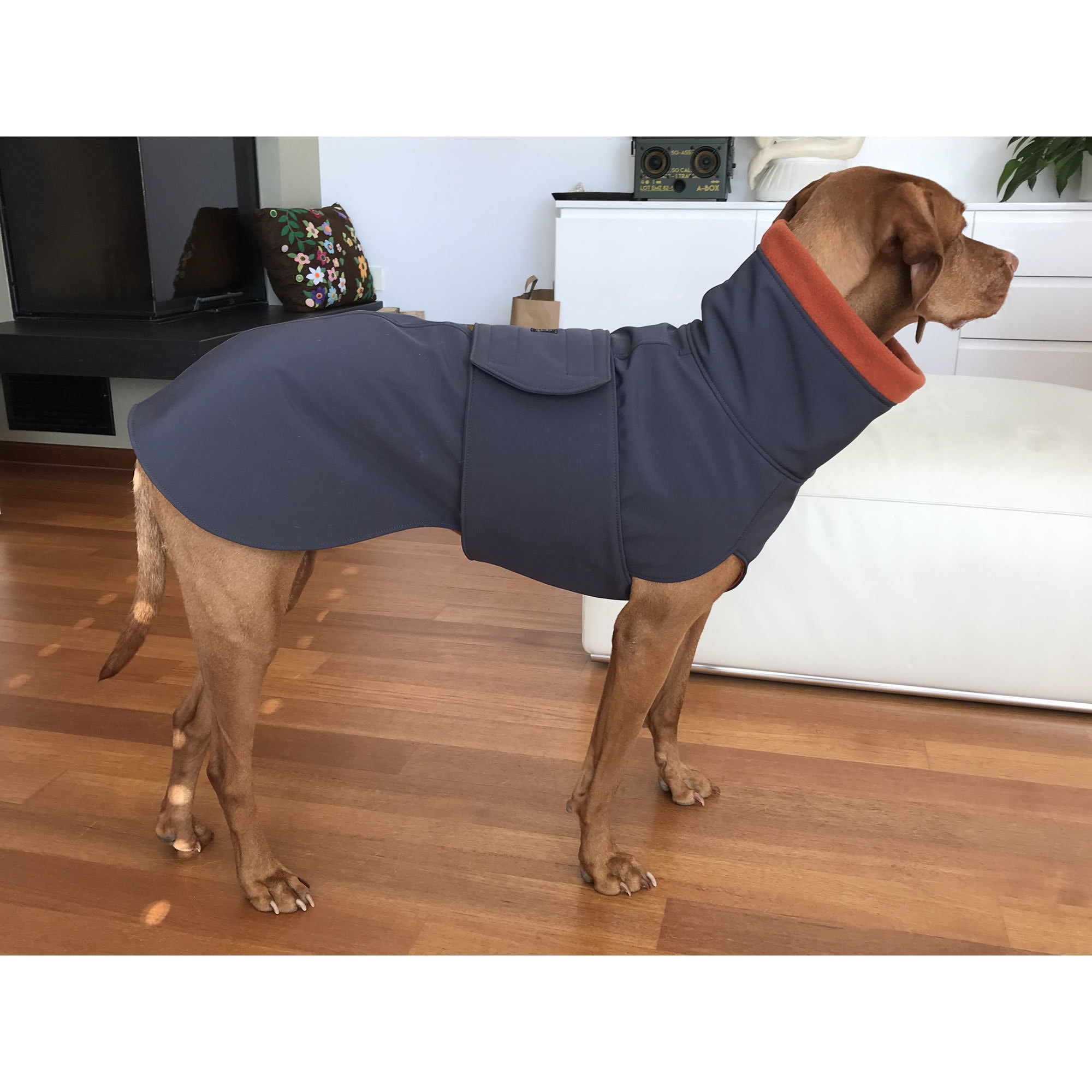 Vizsla Winter Coat – Water-repellent Softshell Dog Coat With