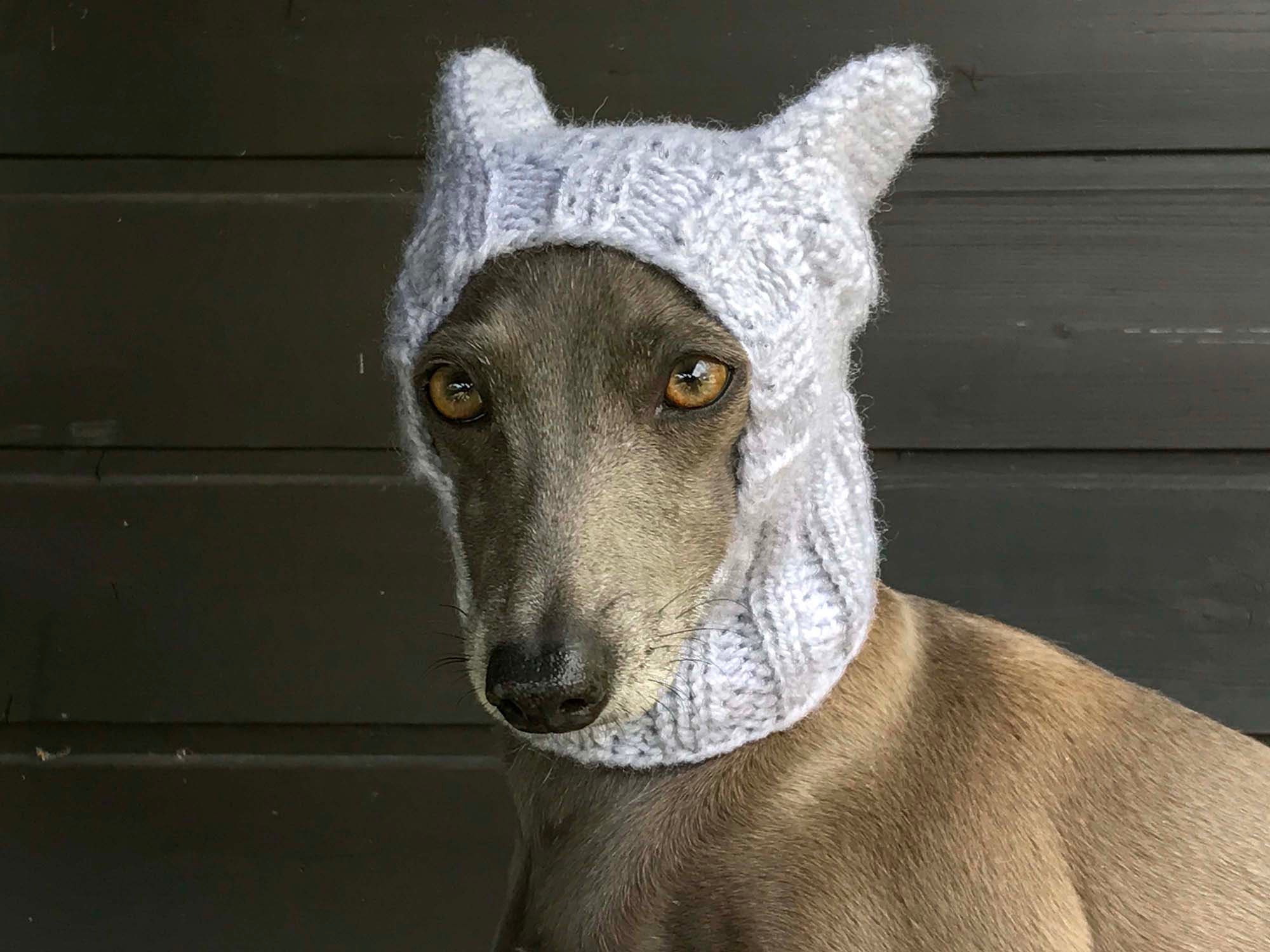 Lustige Hundemütze Mit Bommel - Warme Strickkapuze Für Kleine & Große Hunde