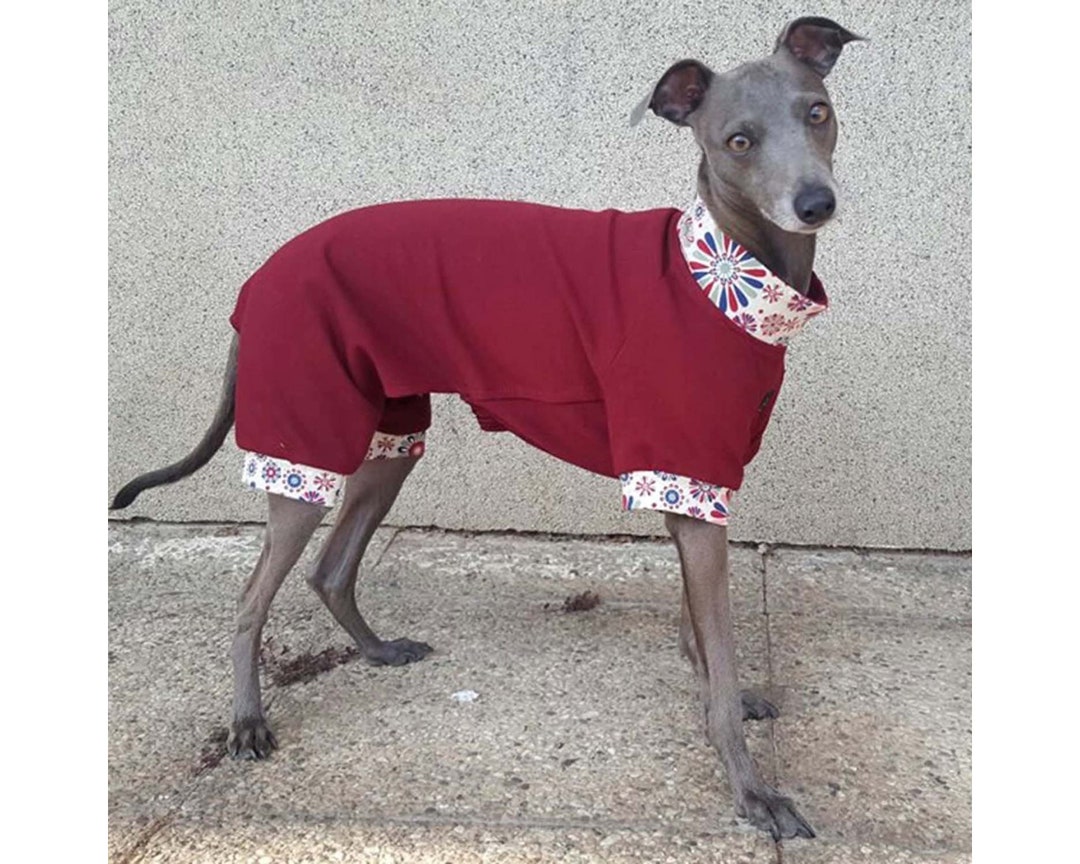 Pyjama Combinaison Pour Lévrier Italien, Whippet - Combinaison 4 Pattes Chaude, Extensible, Tailles S à 5XL