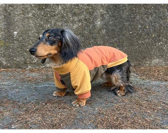 Dachshund Dog Multicolor T-Shirt – Cotton Blend Material, Slim and Regular Fit