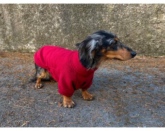 Dachshund T-Shirt, Doxie Jumper, Dachshund Shirt with Sleeves