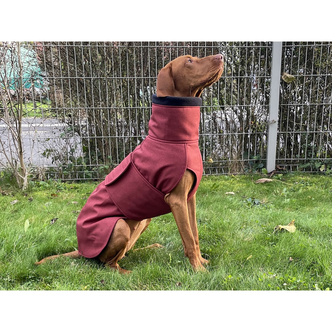 Vizsla Winter Coat, Vizsla Softshell Coat With a Micro Fleece Lining