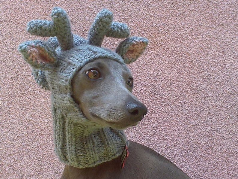 Reindeer Dog Hat with a Tassel, Christmas Dog Hat, Reindeer Dog Snood, Dog Hat, Knit Dog Hat image 2