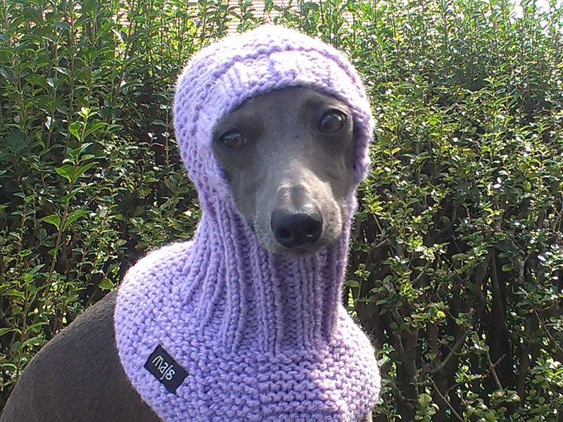 Hand knitted Snood for Italian Greyhounds & Whippets Dark Blue