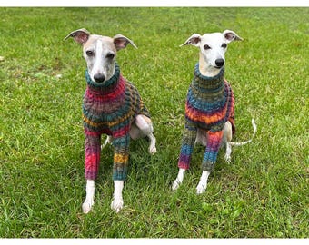 Whippet Dog Sweater with Sleeves – Acrylic Yarn, Multicolor Jumper for Hounds
