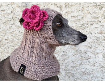 Dog Snood with a Flower, Dog Hat with Flower, Italian Greyhound Snood, Greyhound Hat, Hand Knit Dog Hat, Dog Neckwarmer, Crochet Flower