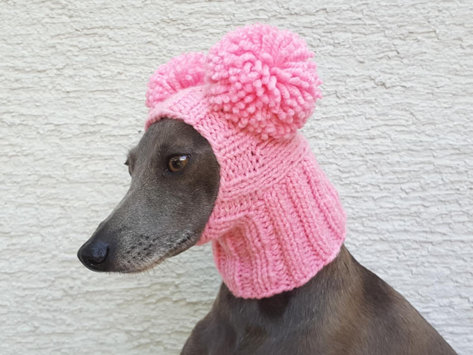 Pom Pom Dog Hat Greyhound Pom Pom Hat Greyhound Snood Dog Etsy Canada