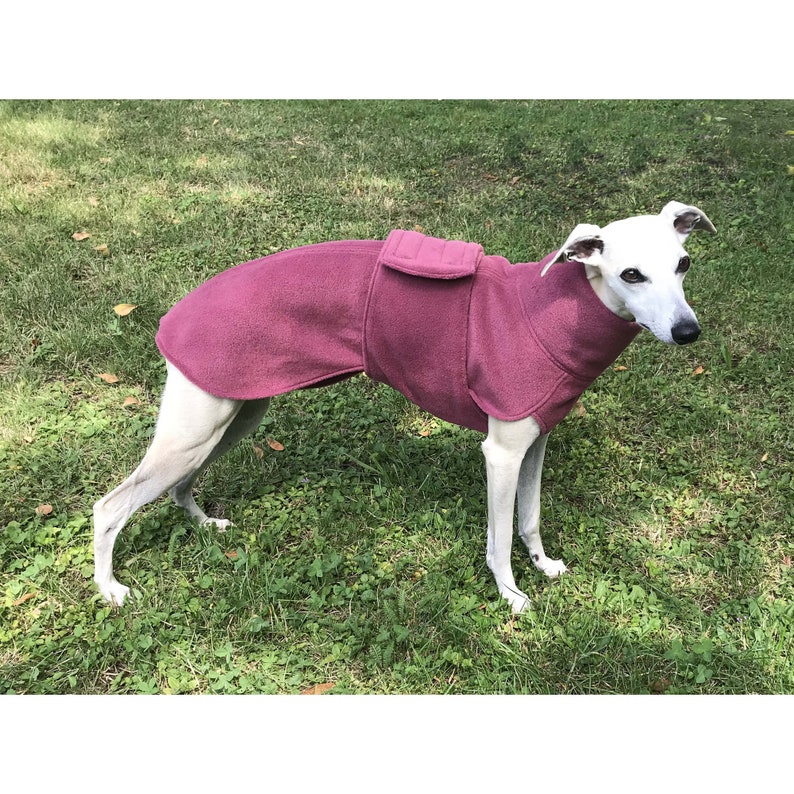 Whippet Fleece Coat, Whippet Coat, Dog Trench Coat, Fleece Dog Clothing, Spring / Autumn Dog Clothing image 1