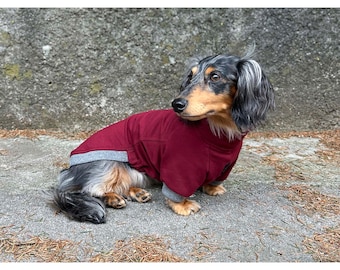 Dachshund Dog T-Shirt – Cotton Blend Material, Slim and Regular Fit