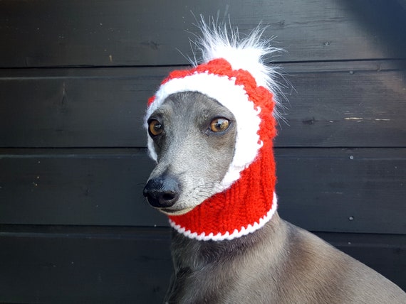 Santa Dog Hat / Christmas Dog Hat / X-mas Dog Hat /Dog Hat / | Etsy