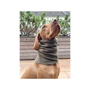 May include: A brown dog wearing a green fleece neck warmer. The dog is looking upwards. The neck warmer has a drawstring closure. The background includes a wooden deck and green plants.