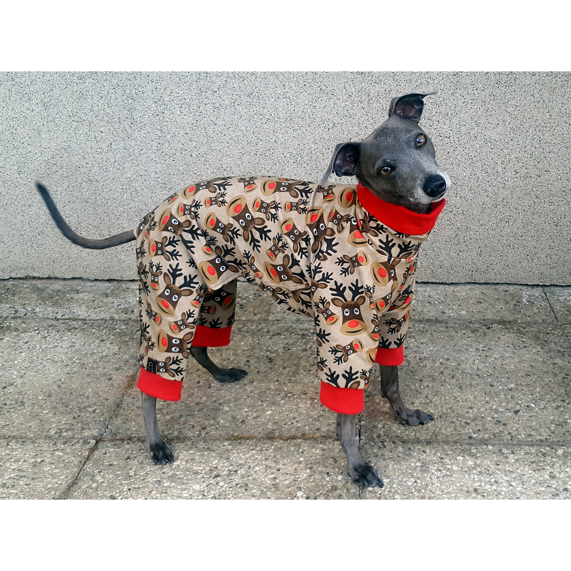 Italian hotsell greyhound jammies