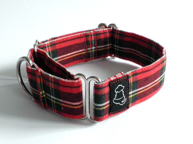 Italian Greyhound Collar / Italian Greyhound Martingale Collar Etsy