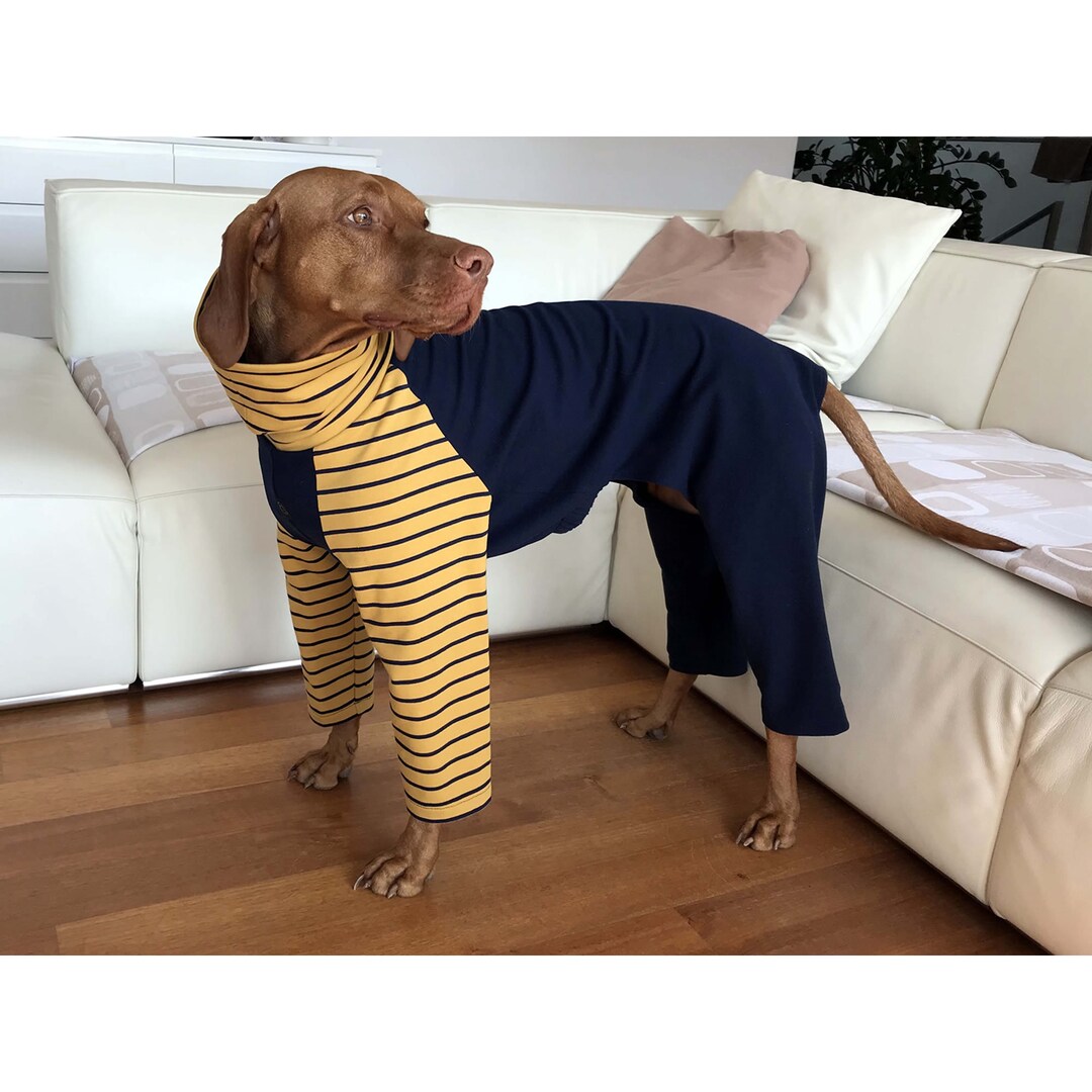 Vizsla Sweat Pajamas Vizsla Sweatshirt Dog Outfit Dog Sweat Etsy
