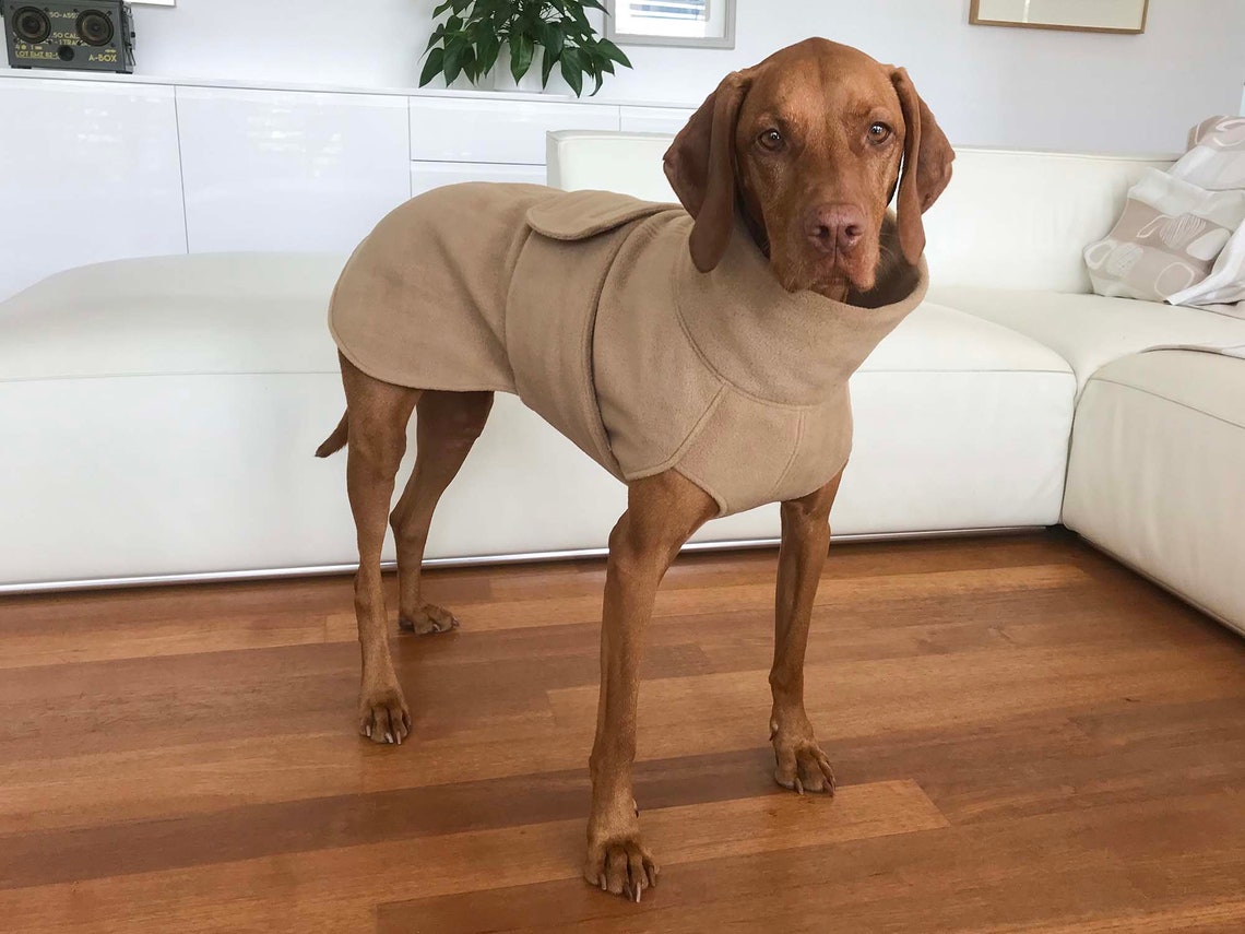 Vizsla Coat / Vizsla Fleece Coat / Dog Trench Coat / Fleece Etsy
