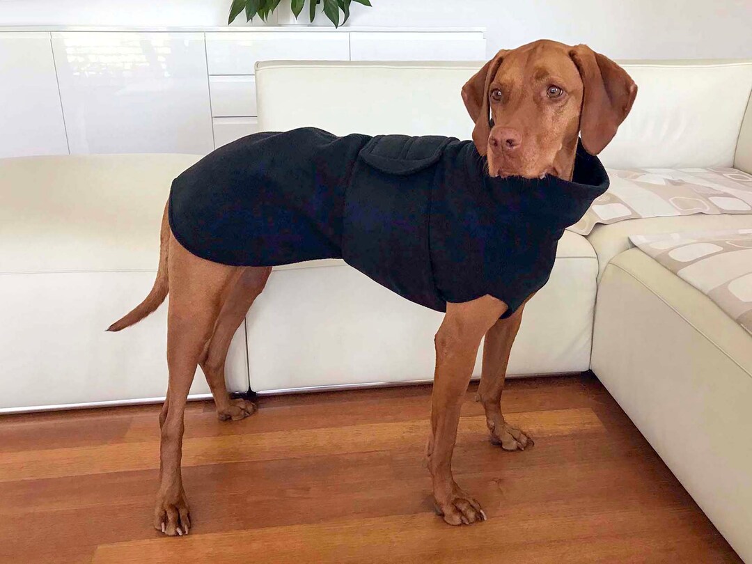 Vizsla Coat Vizsla Fleece Coat Dog Trench Coat Fleece Dog Etsy