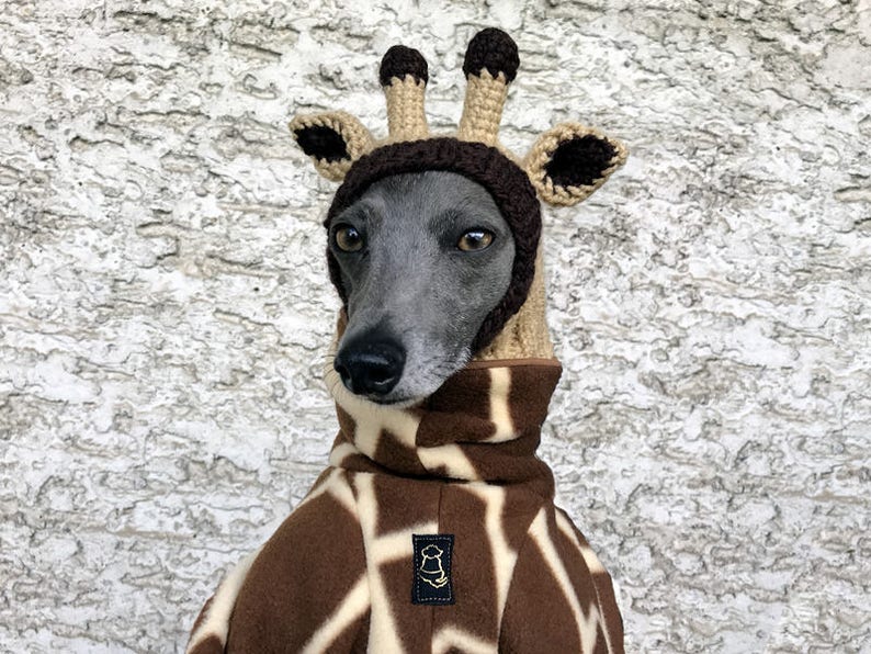 Giraffe Dog Hat / Giraffe Dog Snood / Knit Giraffe Dog Hat / Etsy