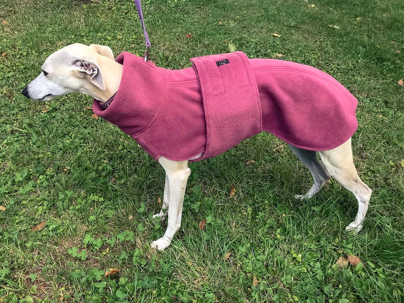 Whippet Fleece Coat, Whippet Coat, Dog Trench Coat, Fleece Dog Clothing, Spring / Autumn Dog Clothing image 2