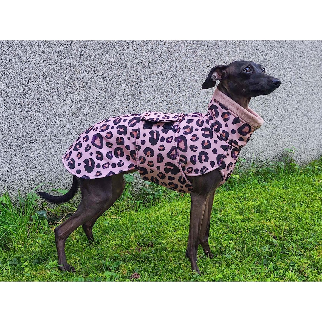 Italian Greyhound Coat, Italian Greyhound Winter Coat With a Lining