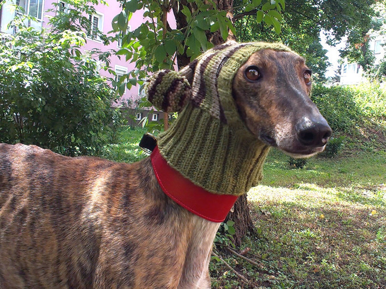 Greyhound Hat / Italian Greyhound Hat / Greyhound Snood / Dog Etsy