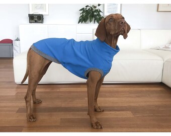 Vizsla Dog Sweatshirt – Cotton Blend Material, Unicolor T-Shirt