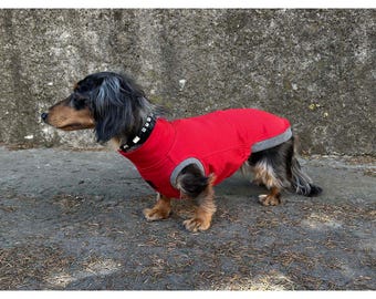 Dachshund Shirt, Dachshund Sweatshirt, Dachshund Sleeveless Shirt
