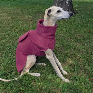 Whippet Fleece Coat, Whippet Coat, Dog Trench Coat, Fleece Dog Clothing, Spring / Autumn Dog Clothing image 8