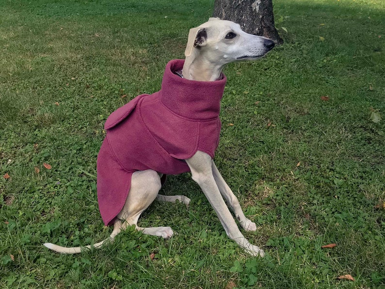 Whippet Fleece Coat, Whippet Coat, Dog Trench Coat, Fleece Dog Clothing, Spring / Autumn Dog Clothing image 8