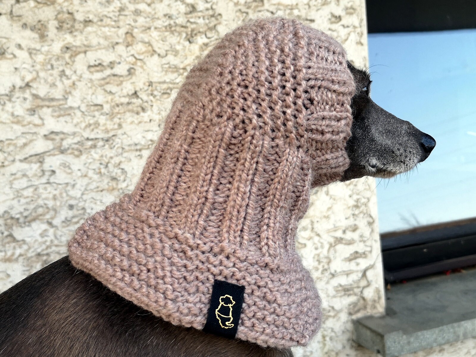 Italian Greyhound Winter Coat Warm Waterproof & Windproof - UK