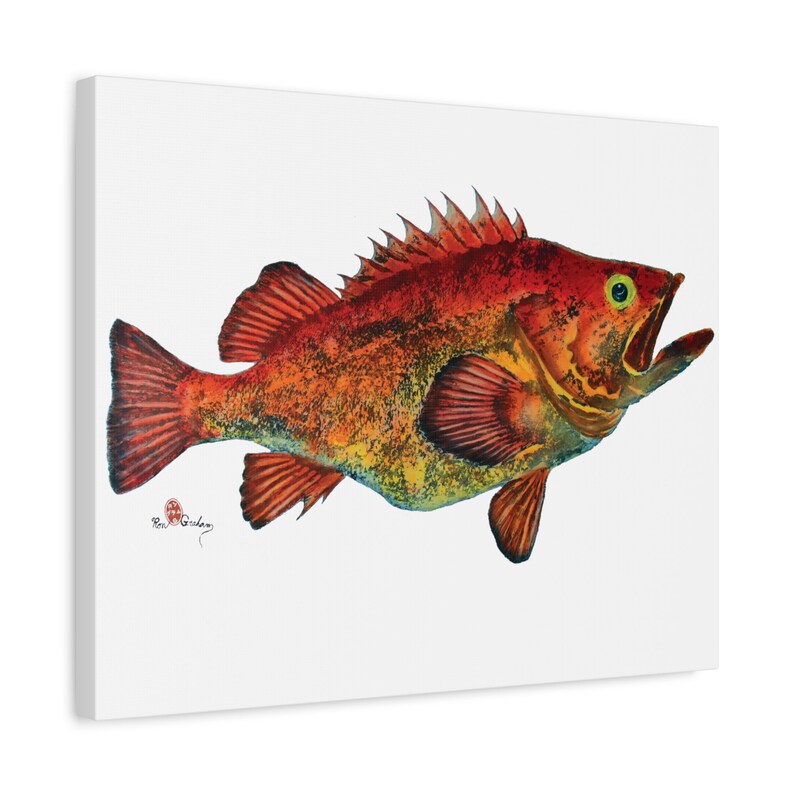 Yelloweye Rockfish Gallery Wrap Stretched Matte Canvas, 1.25